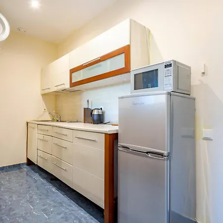 Apartment Vytauto 103a *