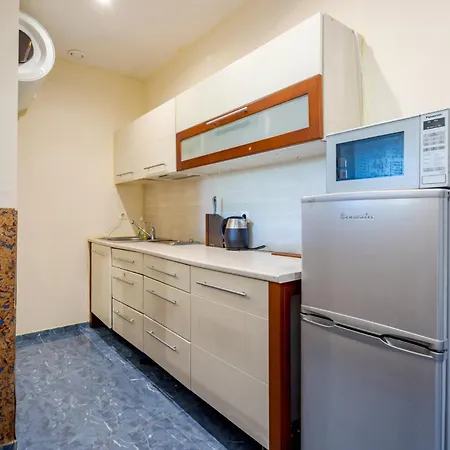 Vytauto 103a Apartment *